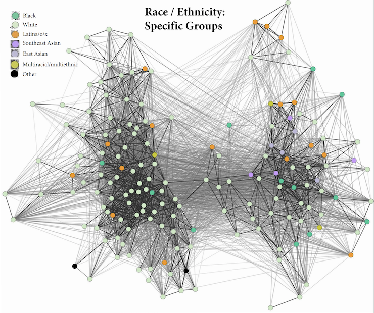 Stakeholder map showing race