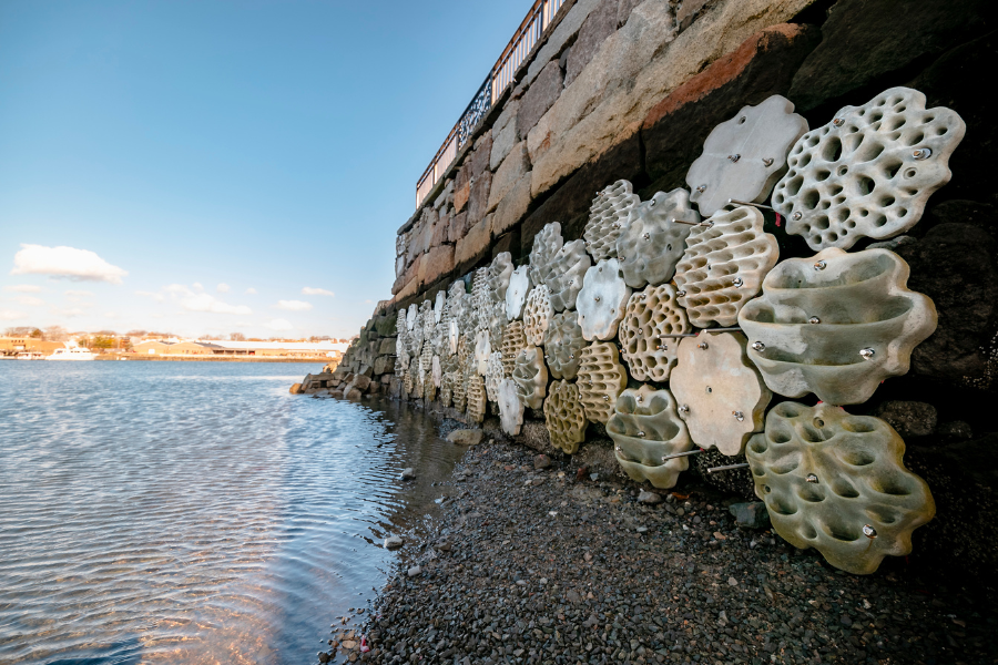 Textured ceramic reef sculptures attached to a stone seawall beside the water.