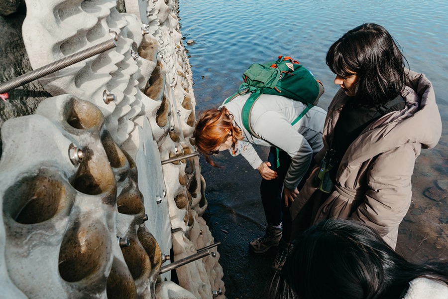 Students look at the Living Seawalls